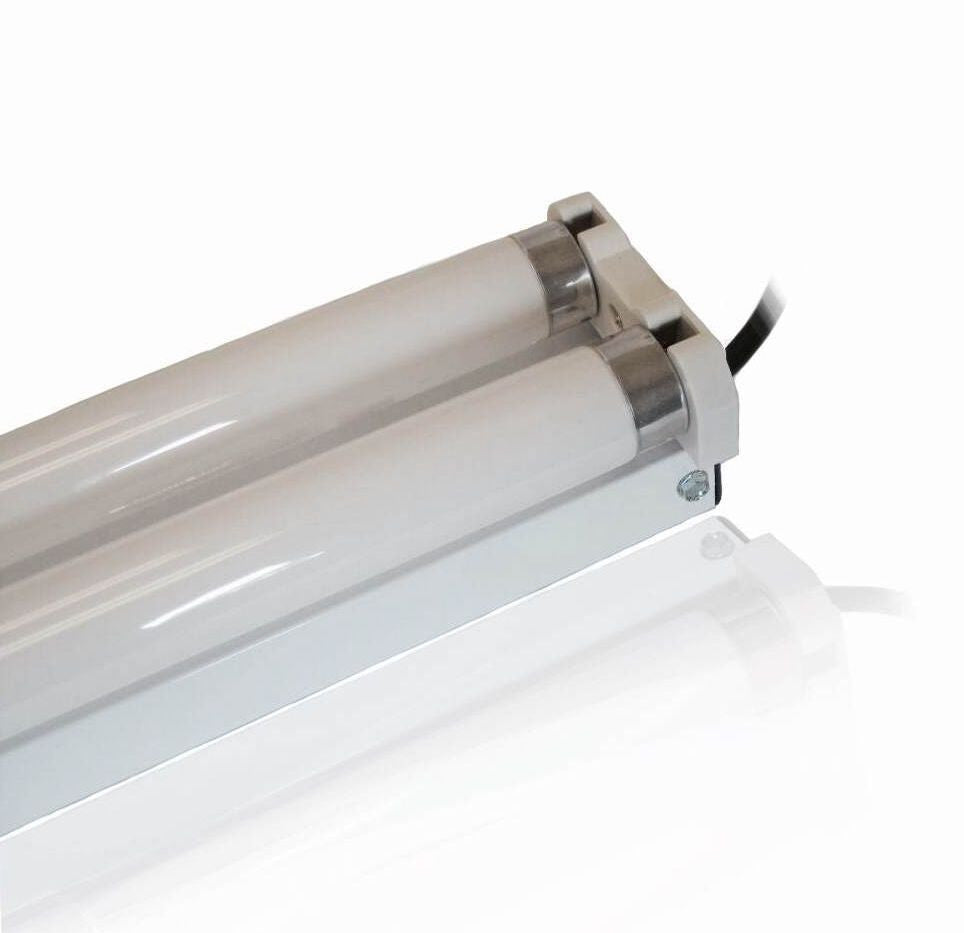 DTM T8 Fluorescent Lights