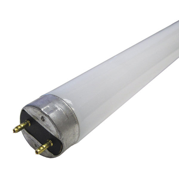 T8 Fluorescent Lamps